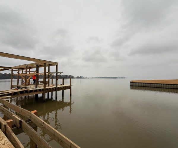 Lake Livingston Views